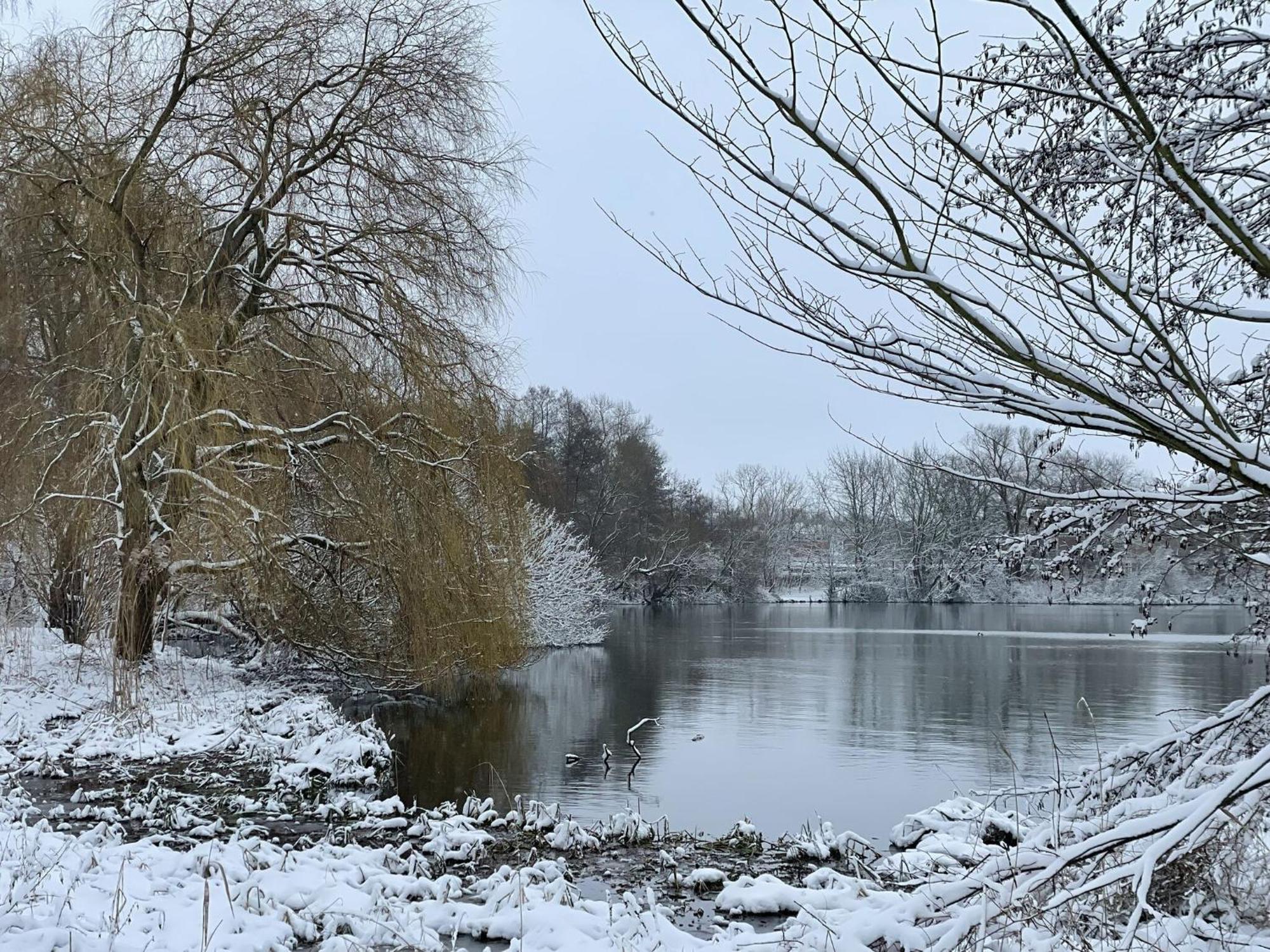 Flat In Eutin On The Kleiner Eutiner See Lake Exterior photo